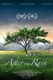 After the Rain