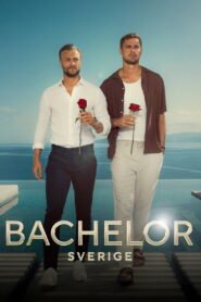 Bachelor Sweden