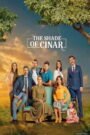 The Shade of Cinar